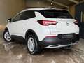 Opel Grandland X 1.2Turbo Executive/TREKH/PARKS/NAVI/APK/NAP Weiß - thumbnail 6
