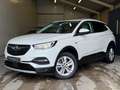 Opel Grandland X 1.2Turbo Executive/TREKH/PARKS/NAVI/APK/NAP Weiß - thumbnail 3
