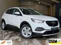 Opel Grandland X 1.2Turbo Executive/TREKH/PARKS/NAVI/APK/NAP Weiß - thumbnail 1