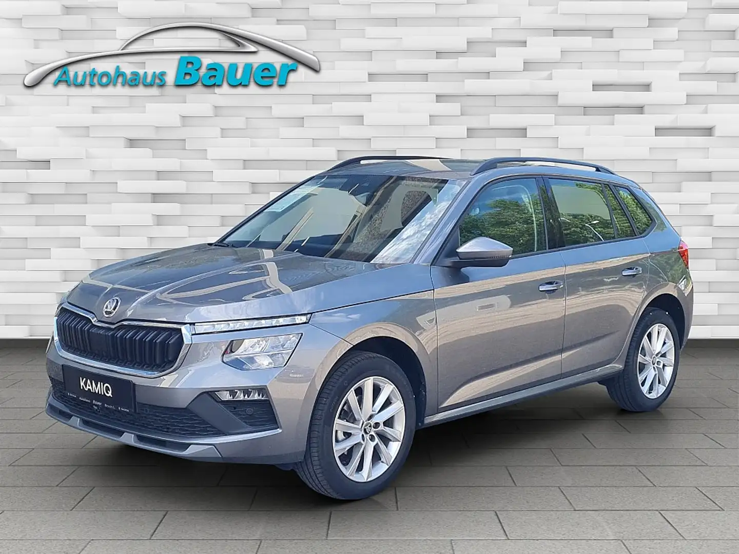 Skoda Kamiq 1,0 TSI Selection DSG Grau - 1