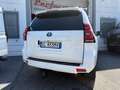 Toyota Land Cruiser Land Cruiser 5p 2.8 d-4d STYLE MANUALE Blanco - thumbnail 17
