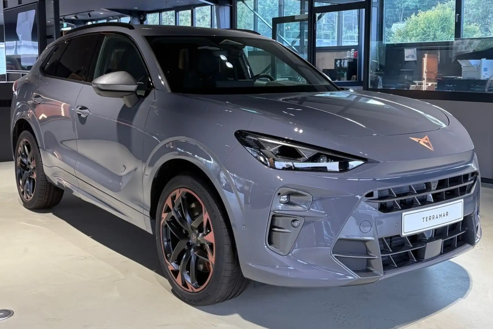 CUPRA Terramar VZ Navi Rückfahrkamera Panoramadach Sitzheizung Grau - 2