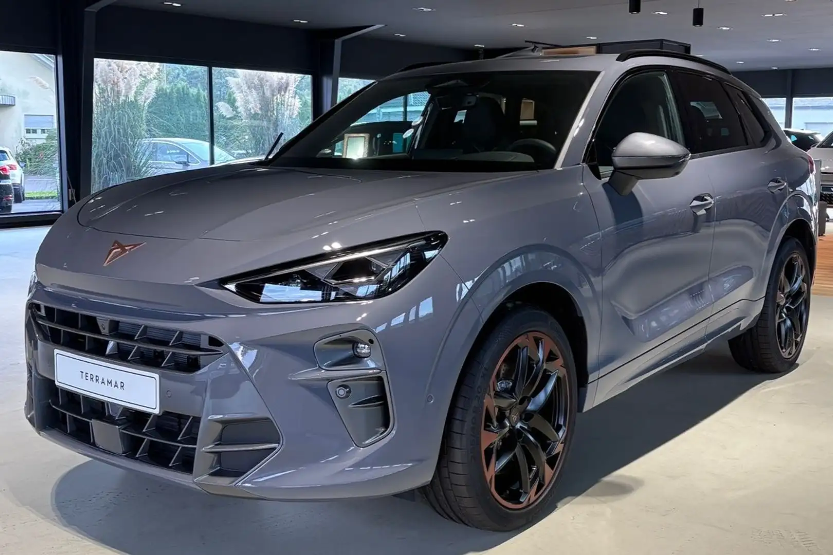 CUPRA Terramar VZ Navi Rückfahrkamera Panoramadach Sitzheizung Grau - 1