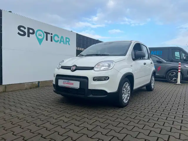 Fiat Panda Pandina