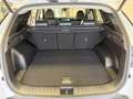 Hyundai TUCSON GO+ 1.6 T-GDI 48V 2WD 117 kW (160 PS) 2-Zonen-K... Weiß - thumbnail 16