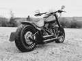 Harley-Davidson Fat Boy Special - Umbau - Jekill & Hyde Negru - thumbnail 4
