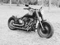 Harley-Davidson Fat Boy Special - Umbau - Jekill & Hyde Zwart - thumbnail 3