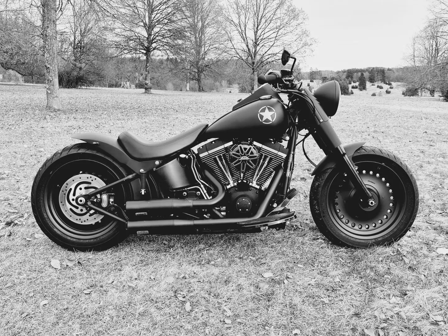 Harley-Davidson Fat Boy Special - Umbau - Jekill & Hyde Černá - 1