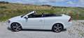 Volvo C70 C70 2.4i Momentum Wit - thumbnail 6