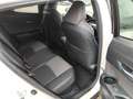 Toyota C-HR Hybrid Lounge Weiß - thumbnail 10