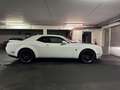 Dodge Challenger Automatik R/T Plus Scat Pack Weiß - thumbnail 6