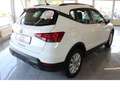 SEAT Arona Style 1.0TSI,Kamera,Sitzheizung,Top-Ausstasttung Blanc - thumbnail 4