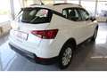 SEAT Arona Style 1.0TSI,Kamera,Sitzheizung,Top-Ausstasttung Weiß - thumbnail 16