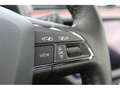 SEAT Ibiza 1.0 TSI DSG Xcellence Sitzheizung, Panoramadach Grau - thumbnail 20