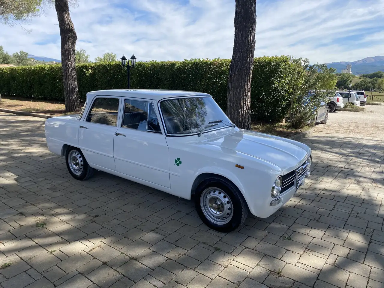 Alfa Romeo Giulia Super, foto 6