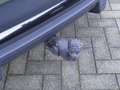 Audi Q5 Sportback 55 TFSI e S edition Groen - thumbnail 24