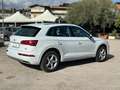 Audi Q5 Q5 II 2017 40 2.0 tdi S line Plus quattro 190cv Bianco - thumbnail 5