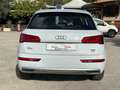 Audi Q5 Q5 II 2017 40 2.0 tdi S line Plus quattro 190cv Bianco - thumbnail 6