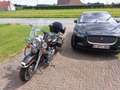 Harley-Davidson Road King Anyversery in perfecte staat met alarm en gps Bronz - thumbnail 6