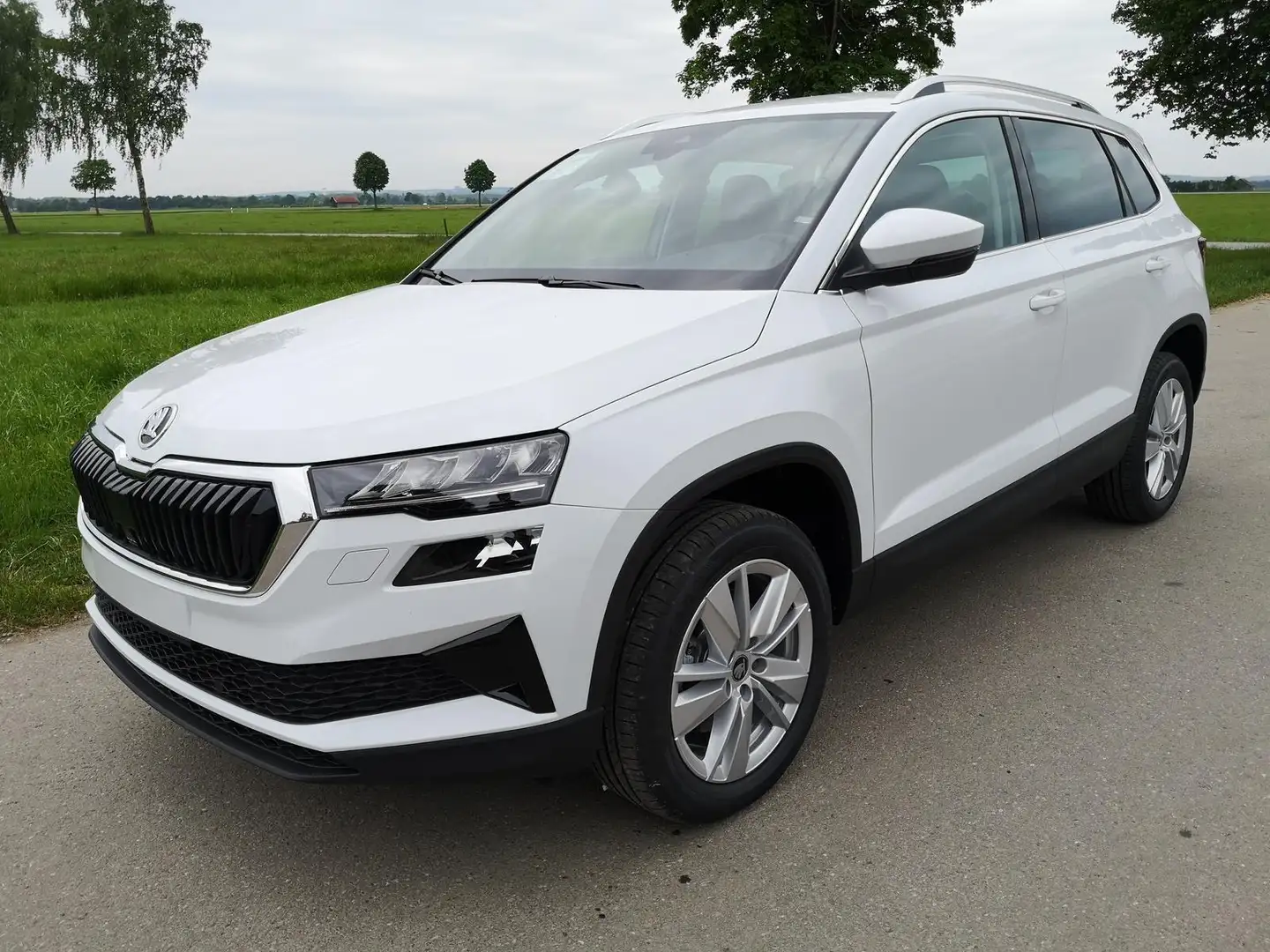 Skoda Karoq Selection 2.0 TDI DSG GV5 AHK 17 Ladeb 110 kW (... Weiß - 1