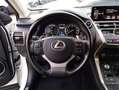 Lexus NX 300h I 2018 300h 2.5 Luxury 4wd cvt Blanc - thumbnail 18