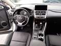 Lexus NX 300h I 2018 300h 2.5 Luxury 4wd cvt Blanc - thumbnail 17