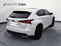Lexus NX 300h I 2018 300h 2.5 Luxury 4wd cvt Blanc - thumbnail 5