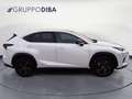 Lexus NX 300h I 2018 300h 2.5 Luxury 4wd cvt Blanc - thumbnail 4