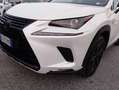 Lexus NX 300h I 2018 300h 2.5 Luxury 4wd cvt Blanc - thumbnail 9