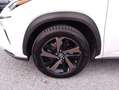 Lexus NX 300h I 2018 300h 2.5 Luxury 4wd cvt Blanc - thumbnail 11