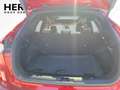 Ford Kuga 2.5 Duratec FHEV ST-Line X *LED*NAVI*TWA*LM Rojo - thumbnail 6