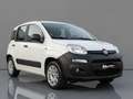 Fiat Panda VAN 1.3 MJT CLIMBING 4X4 AUTOCARRO +IVA Bianco - thumbnail 1