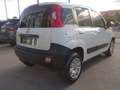 Fiat Panda VAN 1.3 MJT CLIMBING 4X4 AUTOCARRO +IVA Bianco - thumbnail 4