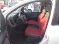 Fiat Panda VAN 1.3 MJT CLIMBING 4X4 AUTOCARRO +IVA Bianco - thumbnail 7
