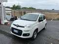 Fiat Panda 1.2 69 Cv Van 2 posti Euro6d POP 5 porte Blanco - thumbnail 1