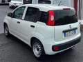 Fiat Panda 1.2 69 Cv Van 2 posti Euro6d POP 5 porte White - thumbnail 4