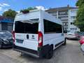 Fiat Ducato 140 L2H2 RS: 3450 mm/Klima/Navi/AHK Weiß - thumbnail 8