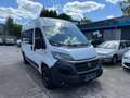 Fiat Ducato 140 L2H2 RS: 3450 mm/Klima/Navi/AHK Weiß - thumbnail 1