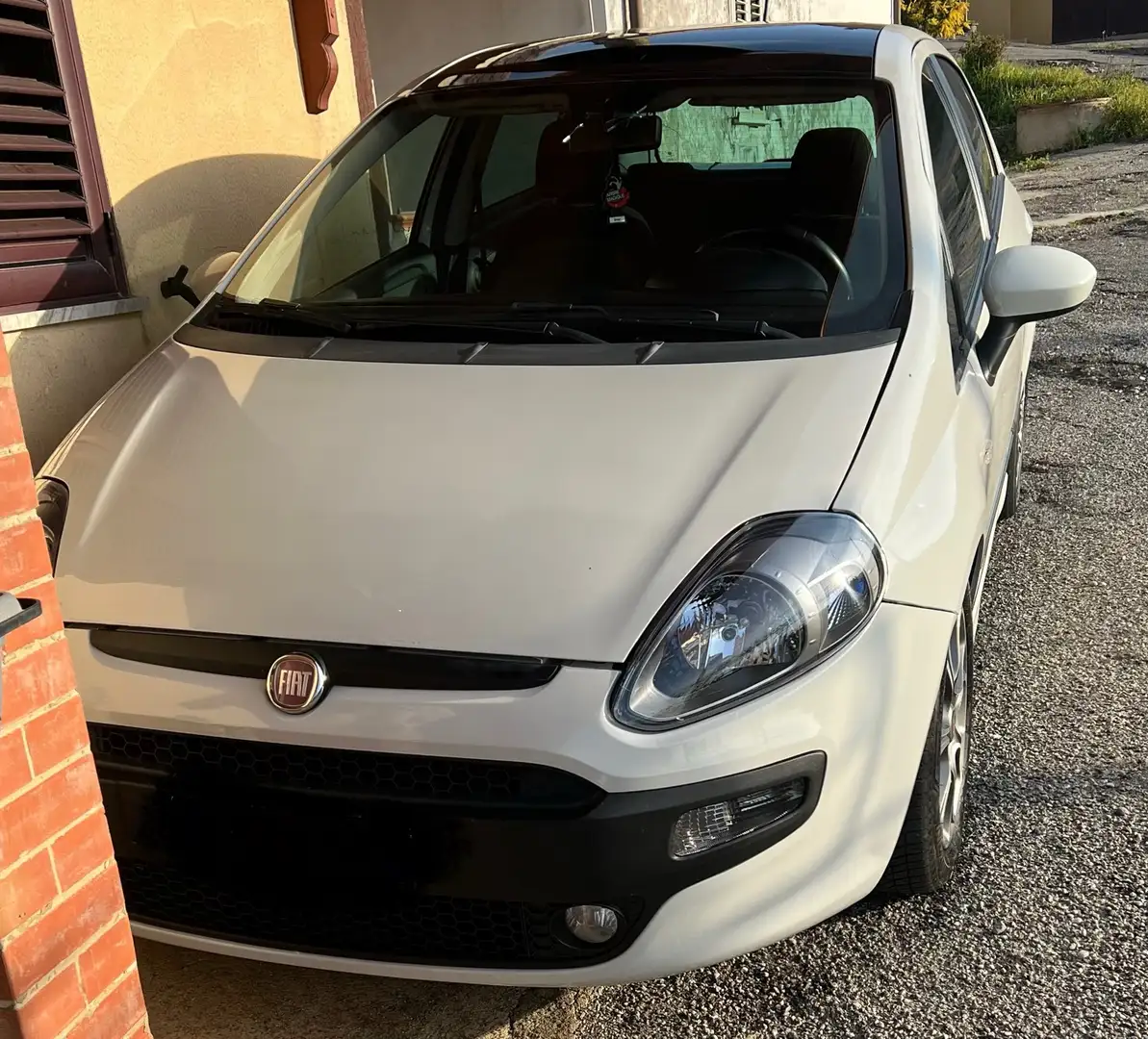 Fiat Punto Evo 5p 1.3 mjt Dynamic eco s&s 85cv - 1