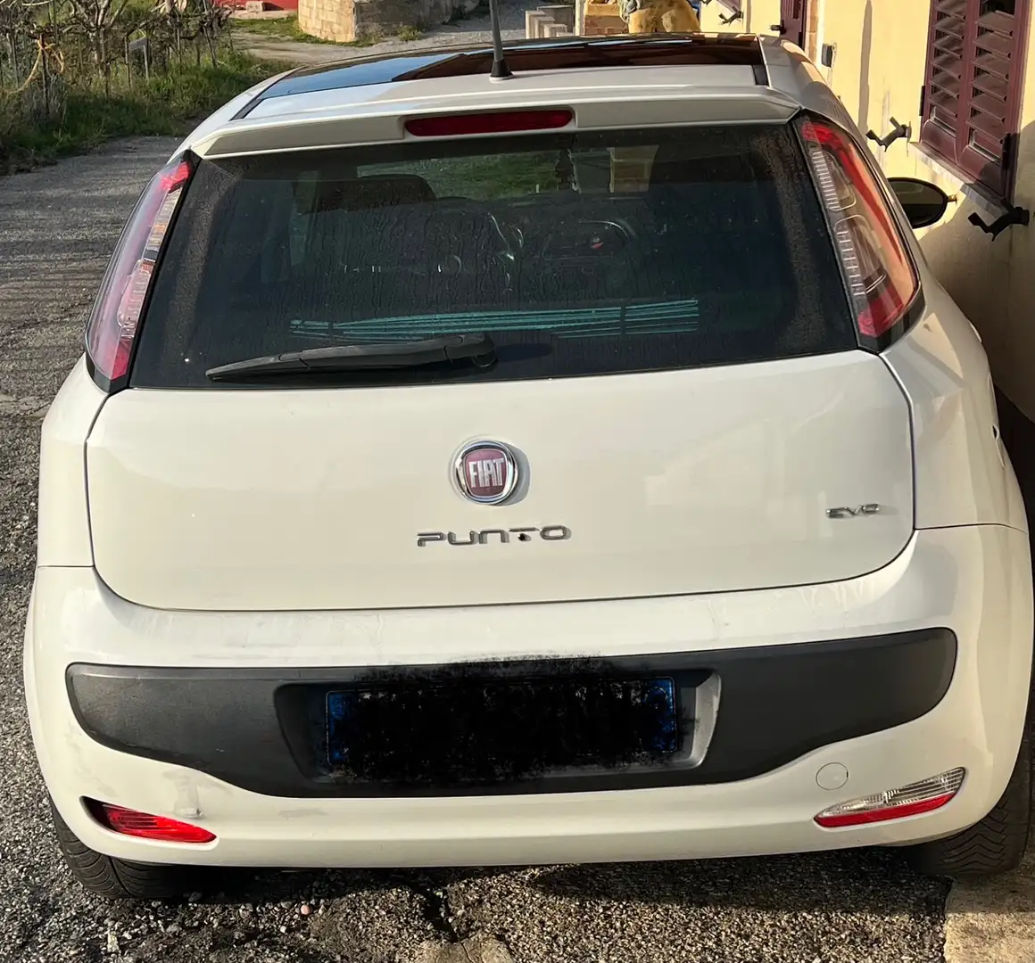 Fiat Punto Evo 5p 1.3 mjt Dynamic eco s&s 85cv - 2