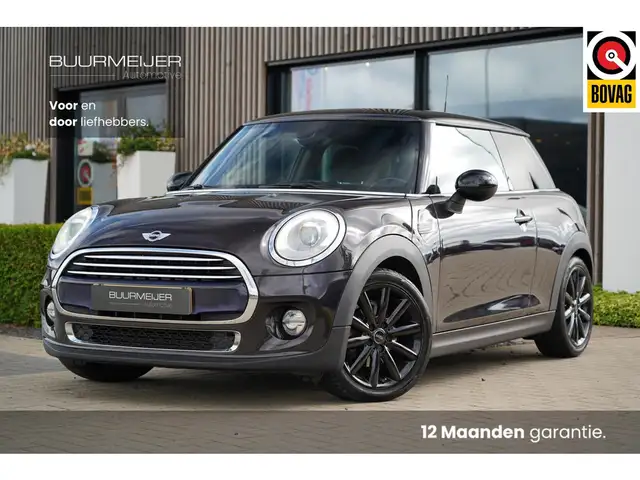 MINI Mini