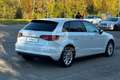 Audi A3 A3 1.6 TDI clean diesel Ambiente Bianco - thumbnail 5