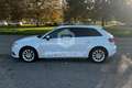 Audi A3 A3 1.6 TDI clean diesel Ambiente Bianco - thumbnail 8