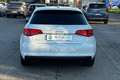 Audi A3 A3 1.6 TDI clean diesel Ambiente Bianco - thumbnail 6