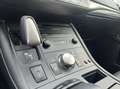 Lexus CT 200h Luxury Line XENON+LEDER+MEMORY NL AUTO bijela - thumbnail 11