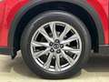 Mazda CX-5 G165 EDITIO Cam SHZ Park-Assist Rot - thumbnail 11