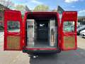 Ford Transit Kasten H2+L1 3.Stz SORTIMO-REGAL 1.HA Червоний - thumbnail 10