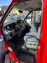 Ford Transit Kasten H2+L1 3.Stz SORTIMO-REGAL 1.HA Piros - thumbnail 13