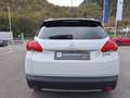 Peugeot 2008 1.6 e-HDi 92 CV S&S Urban Cross Blanco - thumbnail 7