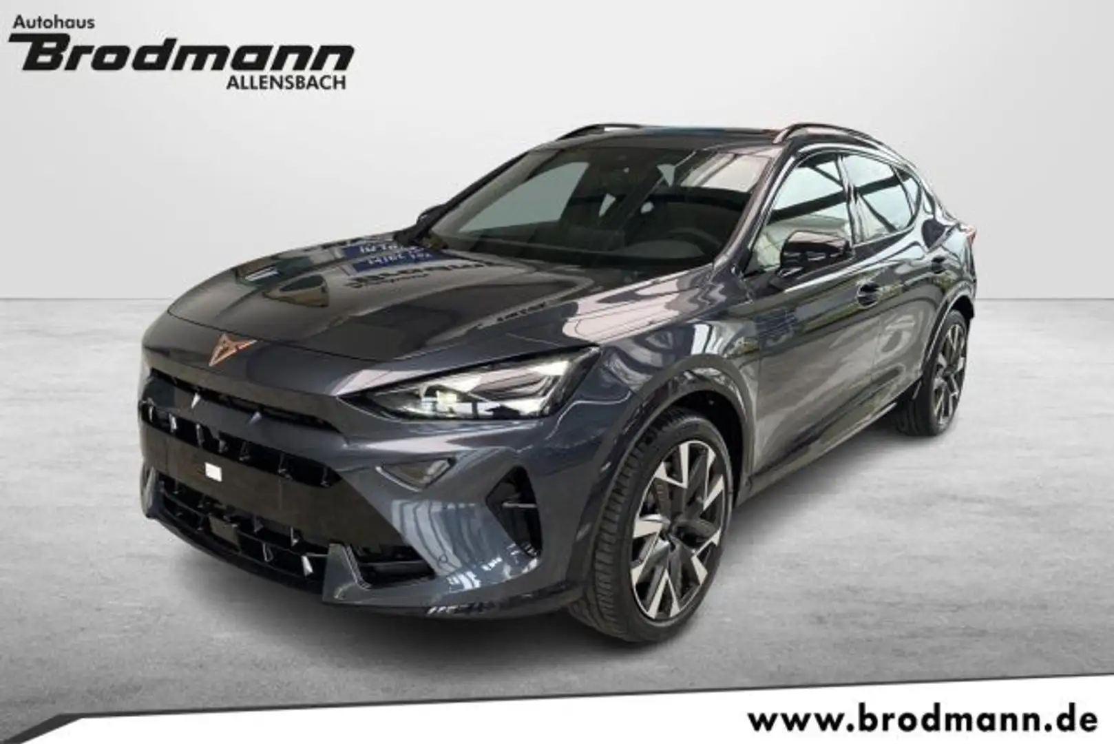 CUPRA Formentor 2.0 TSI VZ 4Drive Pano-ACC-RFK-Navi-eKla Grigio - 1